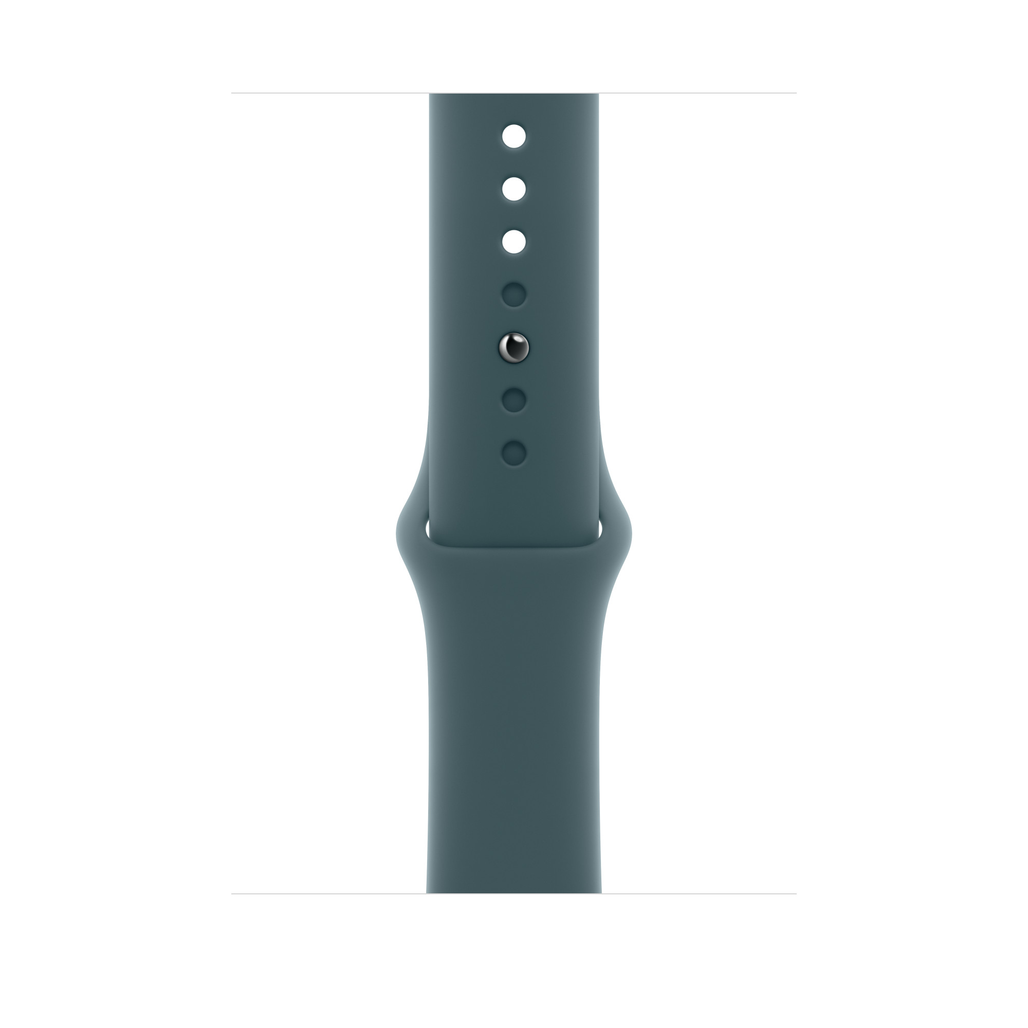 Apple Watch 40mm Sport Band: Lake Green Sport Band - M/L (Seasonal)