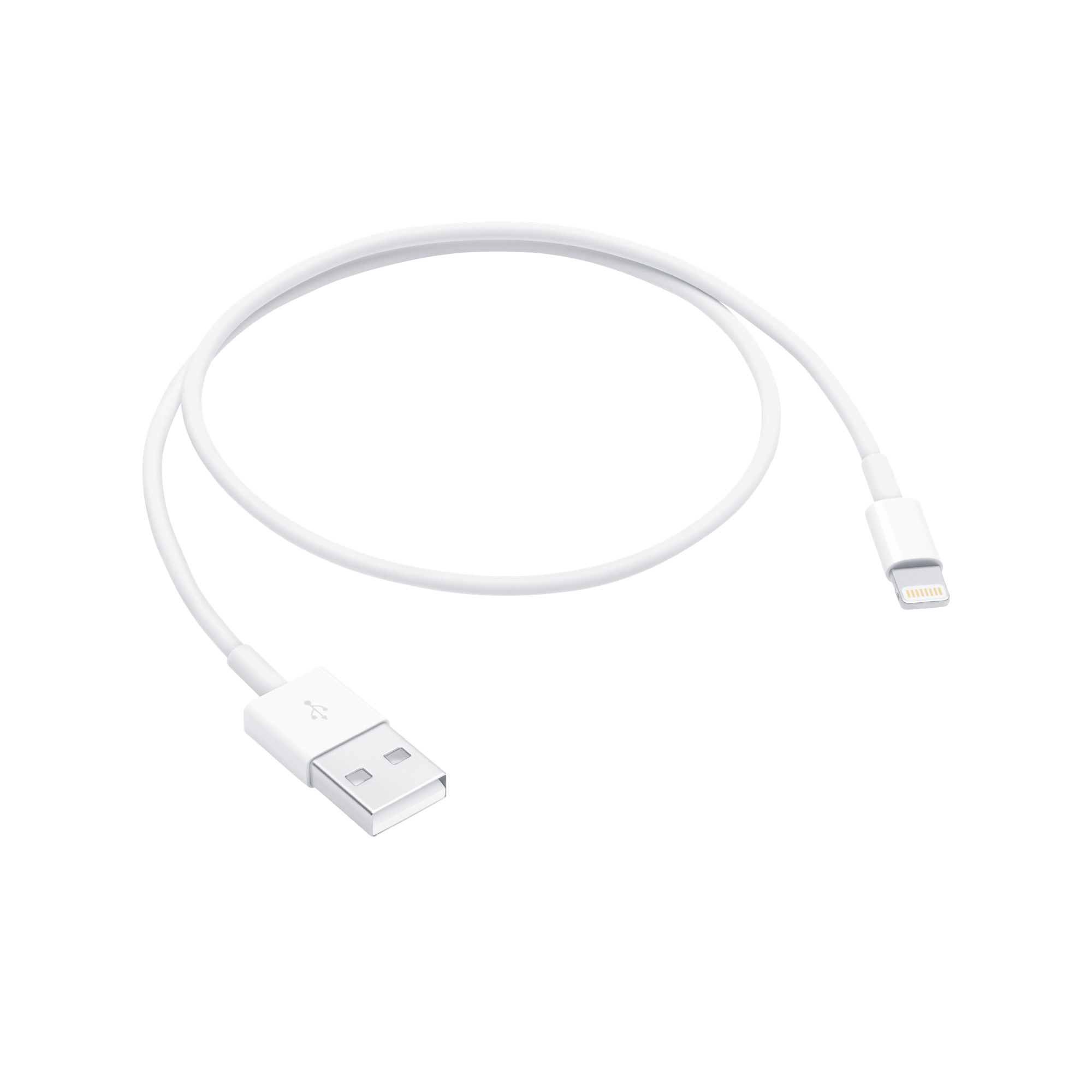 Apple Lightning to USB Cable (0.5 m)