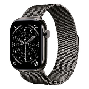 Apple Watch S11 Cellular 46mm Slate Titanium Case with Slate Milanese Loop - S/M