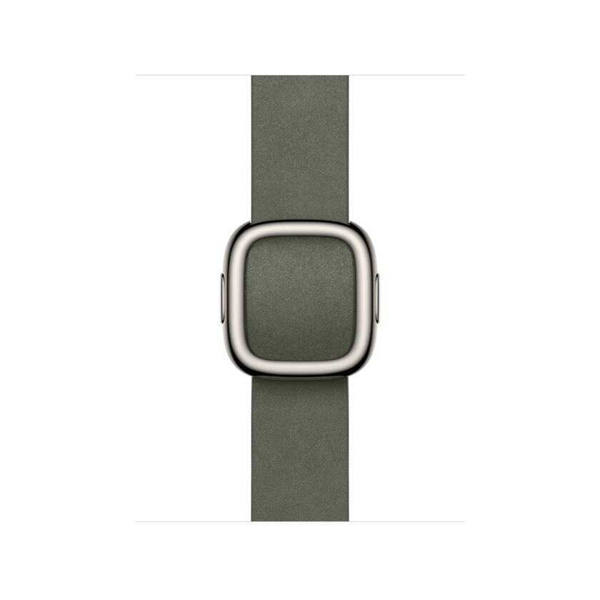 Apple Watch 42mm Modern Buckle: Sage Gray Modern Buckle - Large