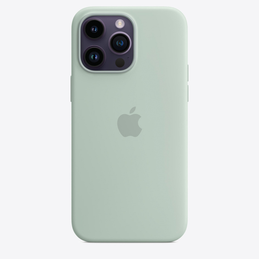 Apple iPhone 14 Pro Max Silicone Case with MagSafe - Succulent (SEASONAL 2022 Fall)