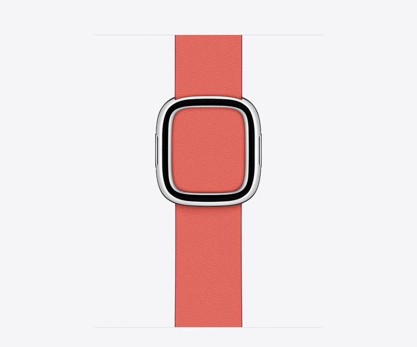 Apple Watch 40mm Band Pink Citrus Modern Buckle Medium (Seasonal Fall 2020)