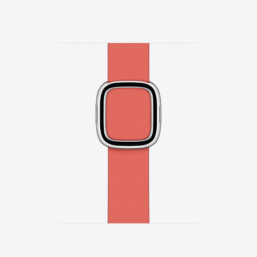 Apple Watch 40mm Band Pink Citrus Modern Buckle Medium (Seasonal Fall 2020)