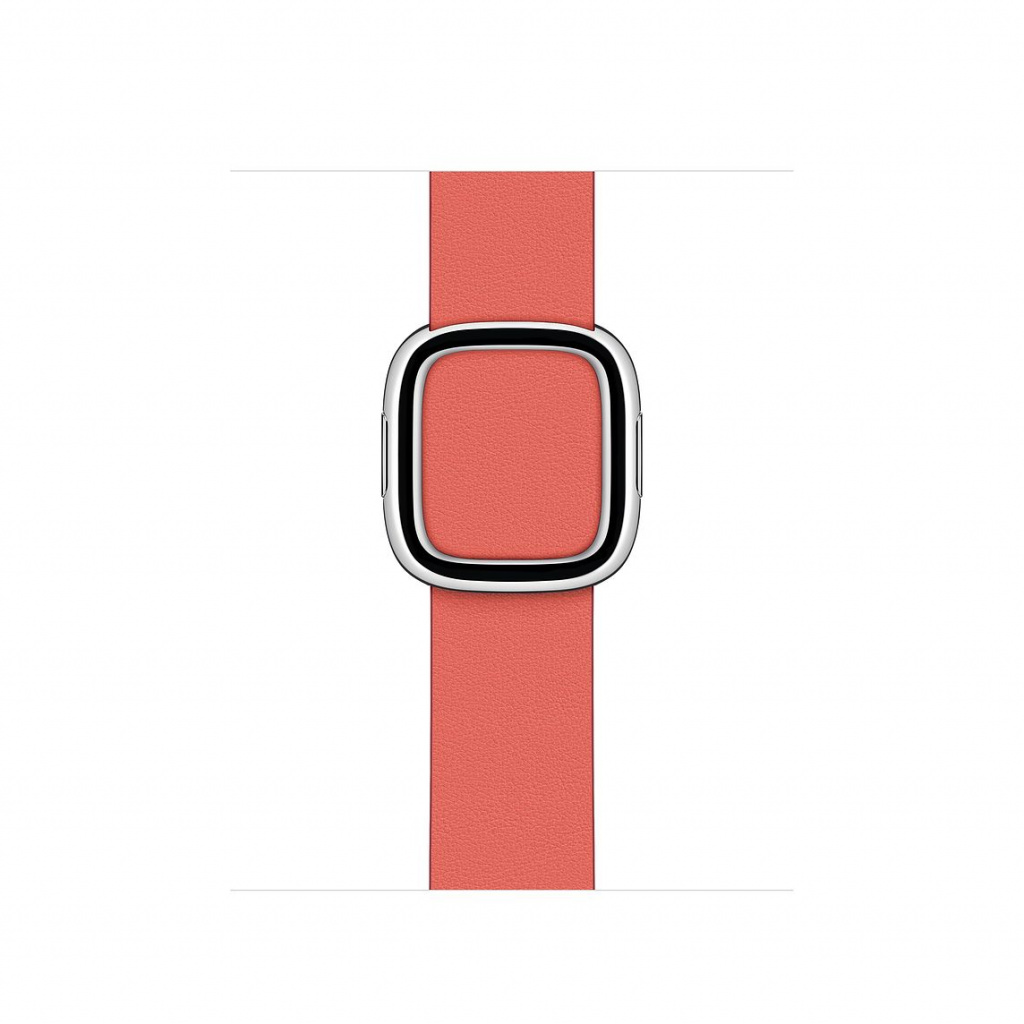 Apple Watch 40mm Band Pink Citrus Modern Buckle Large (Seasonal Fall 2020)