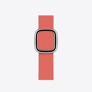 Apple Watch 40mm Band Pink Citrus Modern Buckle Large (Seasonal Fall 2020)
