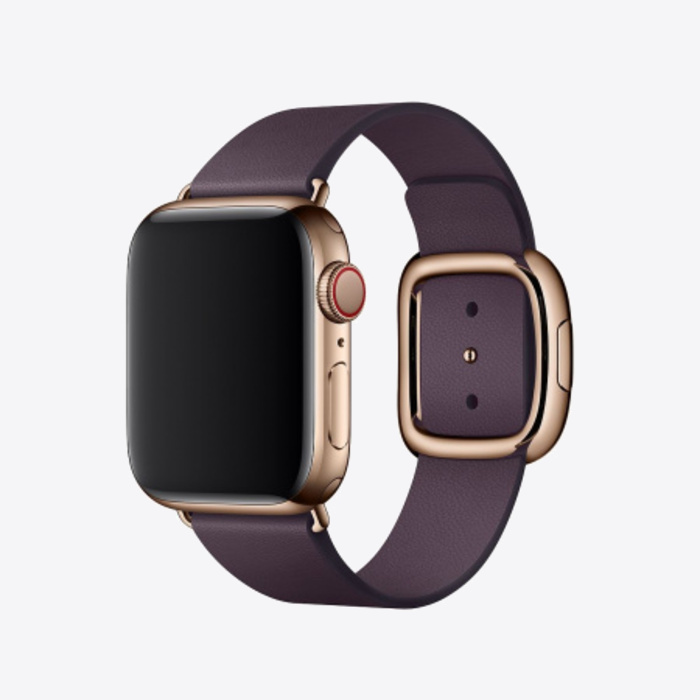 Apple Watch 40mm Band Aubergine Modern Buckle Medium