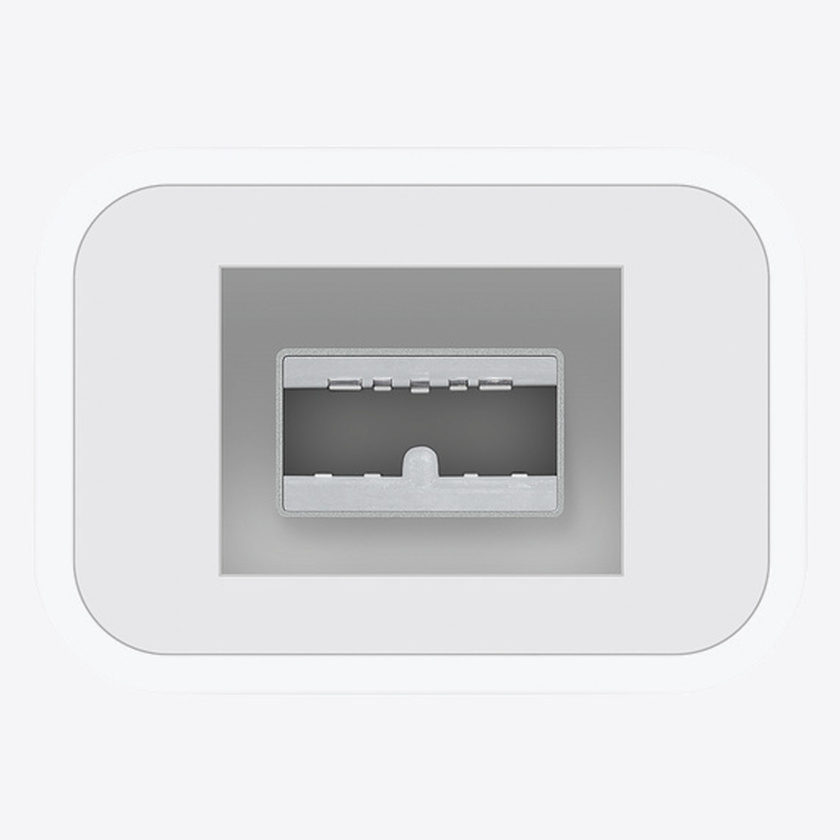 Apple Thunderbolt to FireWire Adapter