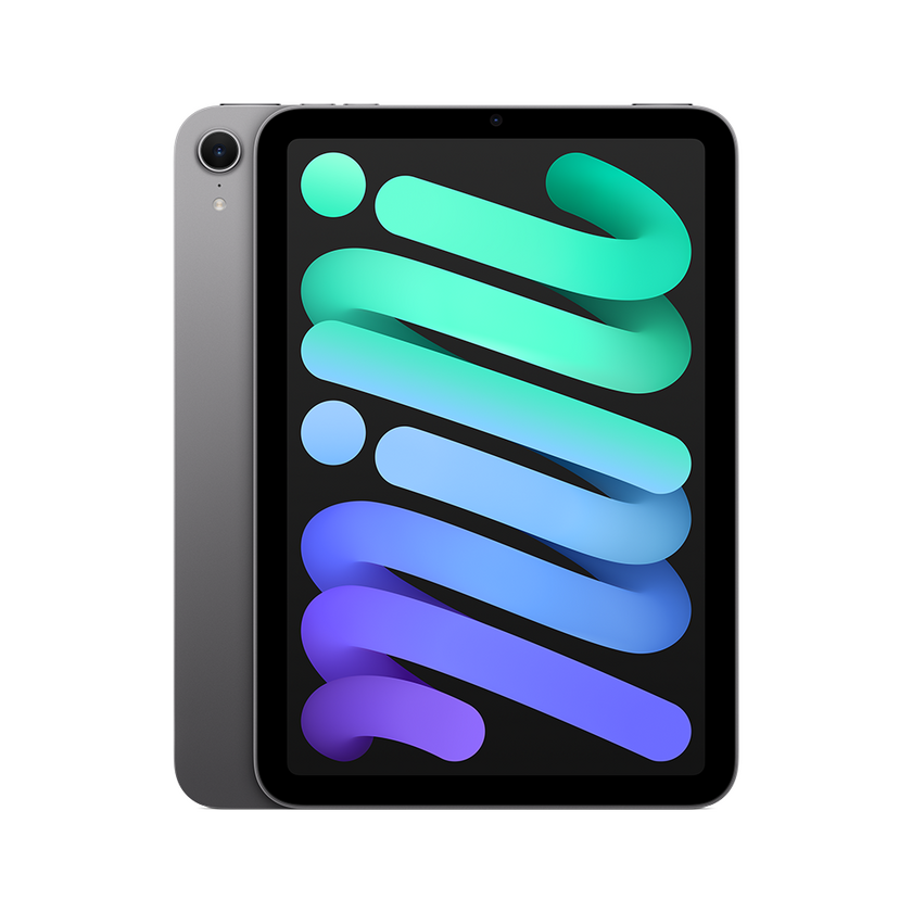 iPad mini Cellular 256GB - Space Grey